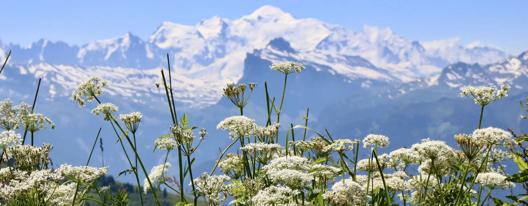 Woodlands Chalets - Mont Blanc landscape